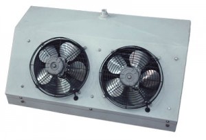 ����ʽ����