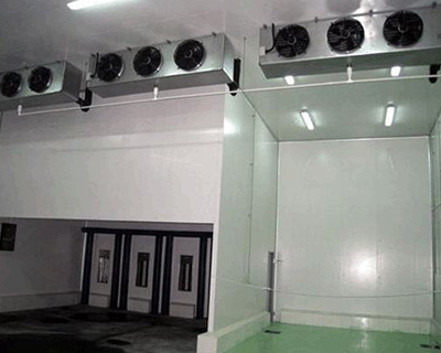 ����̬��ֲ