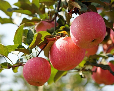 �߲�����������